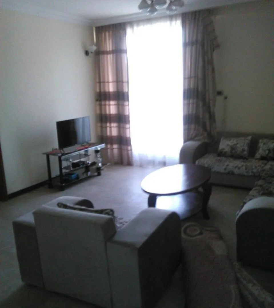 Luxurious Apt Addis Ababa