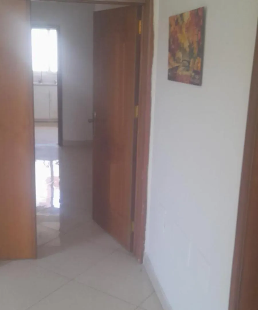 Luxurious Apt Addis Ababa